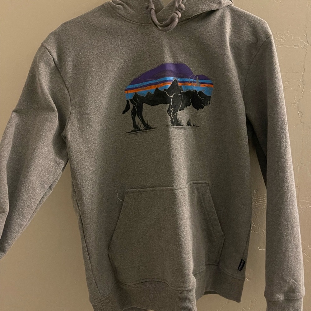 Worn twice, woman’s Patagonia hoodie size small in great condition